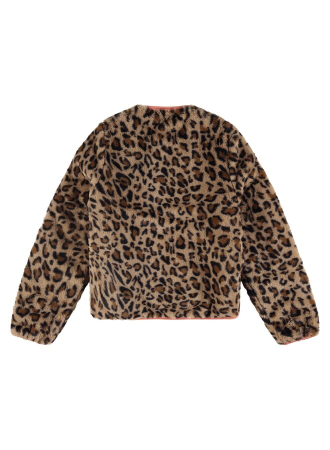 women winter jacket reversible