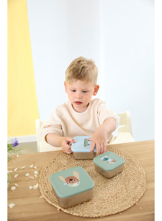 Lässig |  Snackbox Stainless Steel Tiny Team Dog