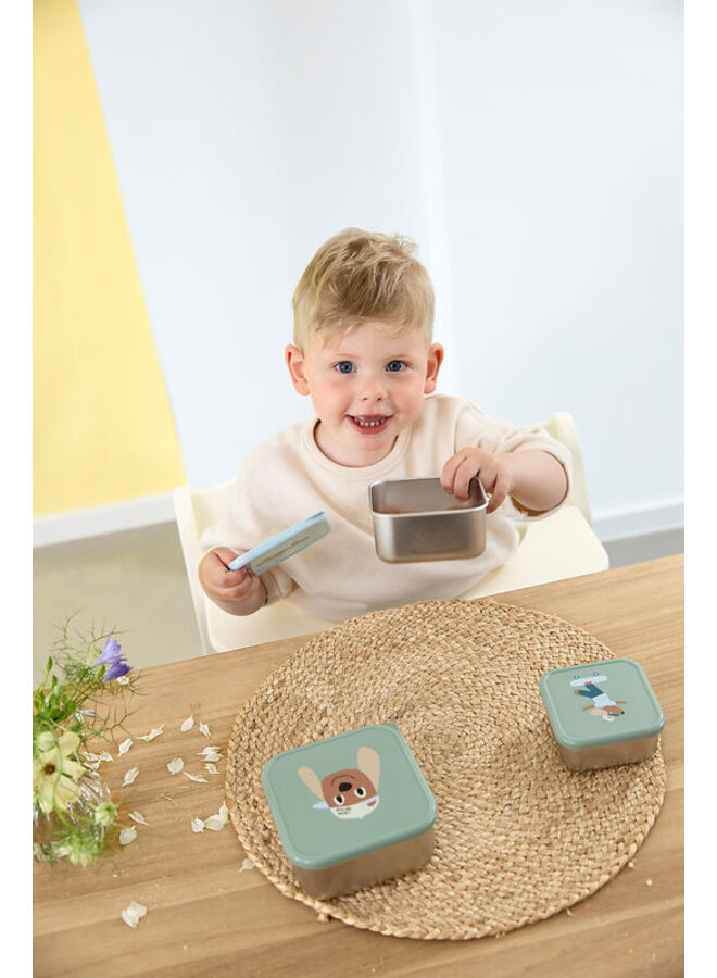 Lässig |  Snackbox Stainless Steel Tiny Team Dog