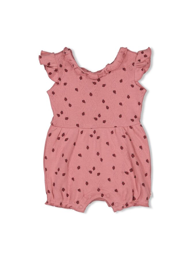 Playsuit ajour rib AOP - Ladybug