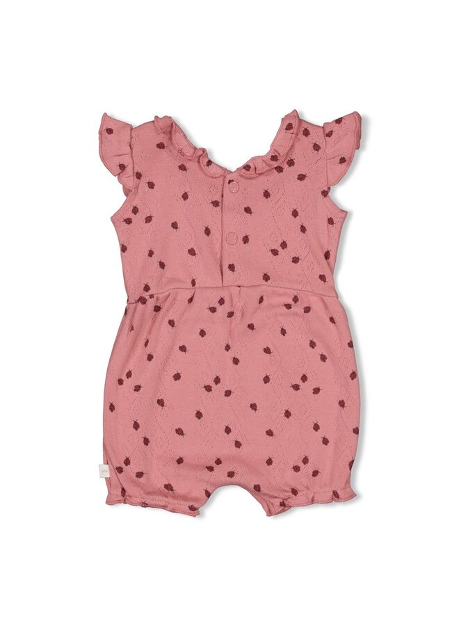Playsuit ajour rib AOP - Ladybug