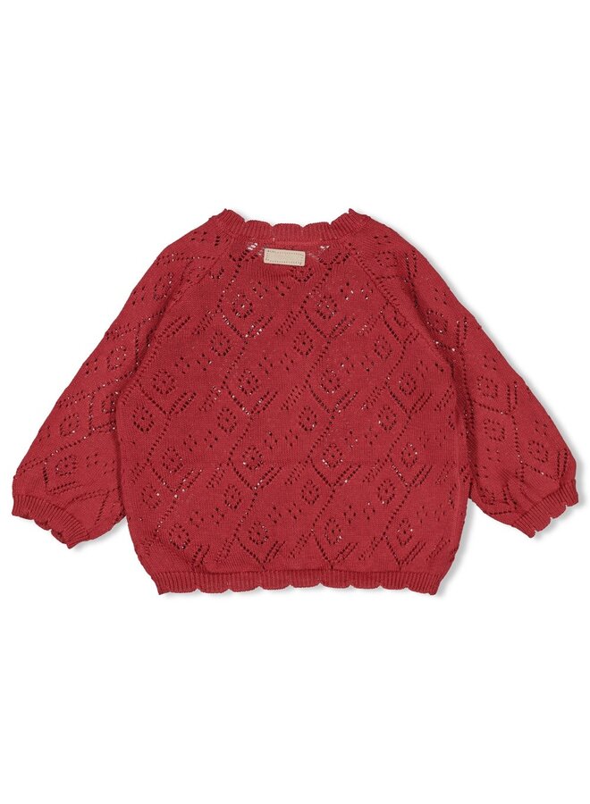 Vestje gebreid – Ladybug | Berry