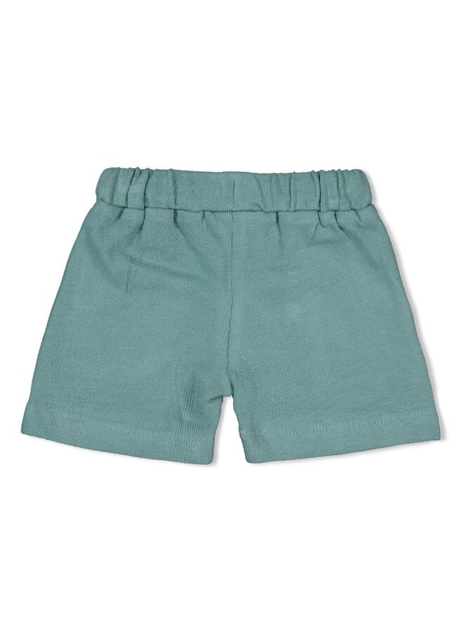 Short - You Croc my World | Zeegroen