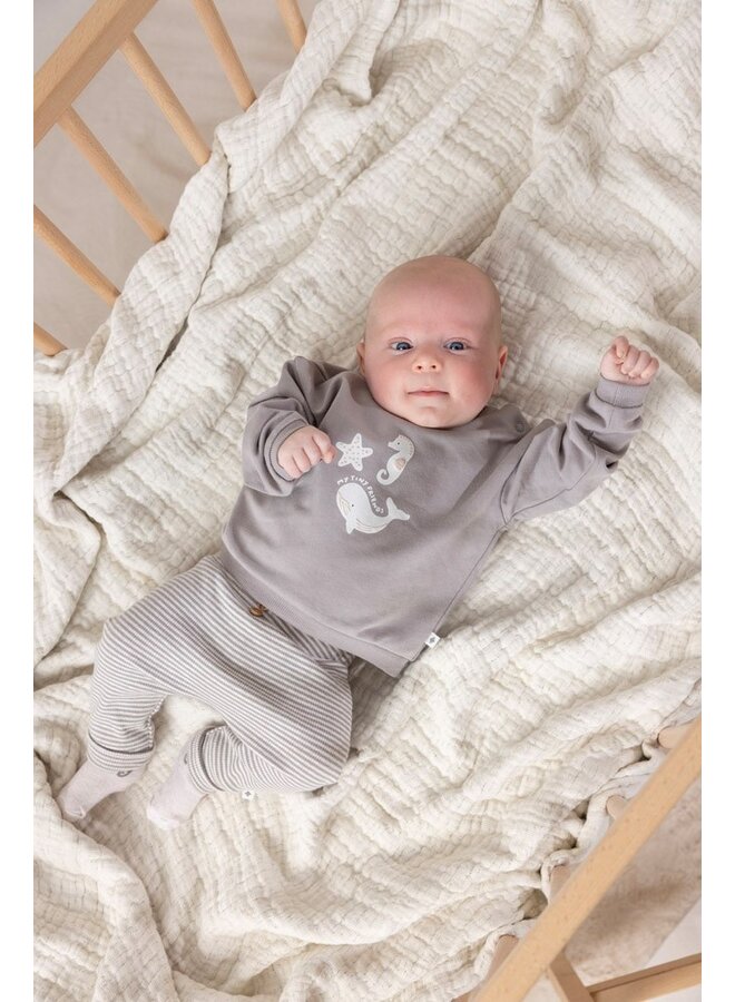 Broek rib met streep - Sea Sweeties | Grijs