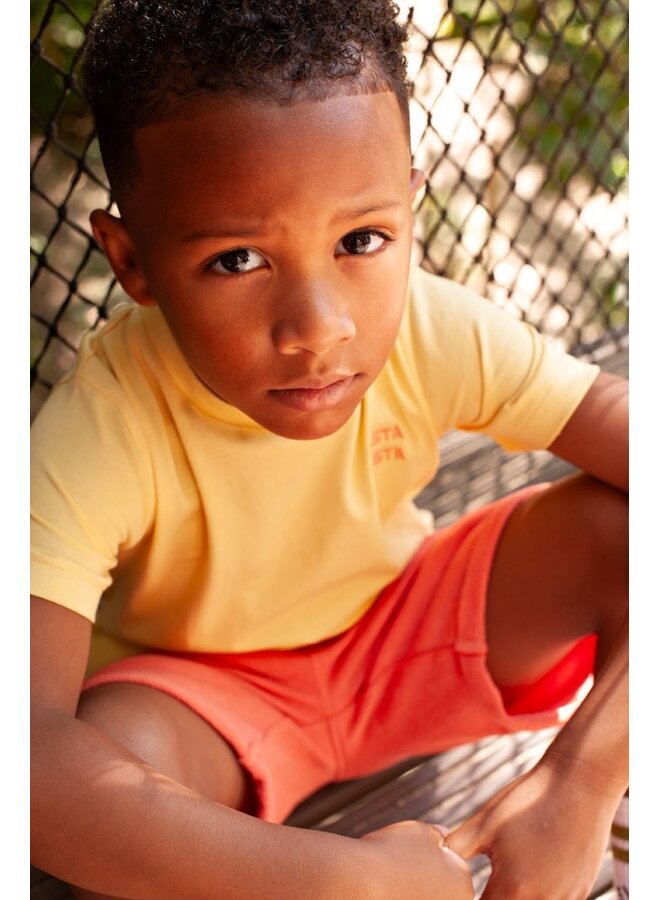 T-shirt met backprint - Desert Fiesta | Geel