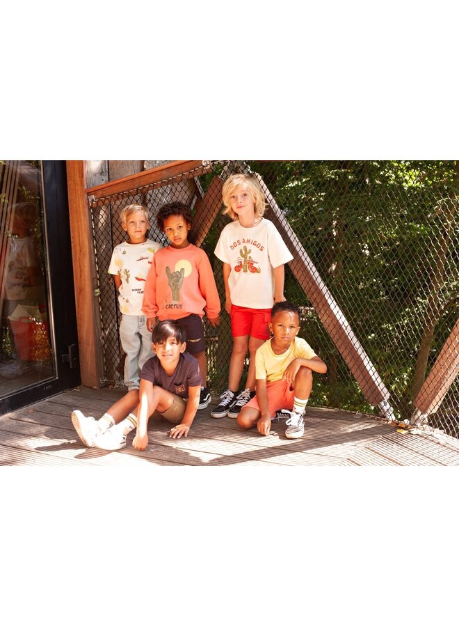 Short - Desert Fiesta | D. Bruin