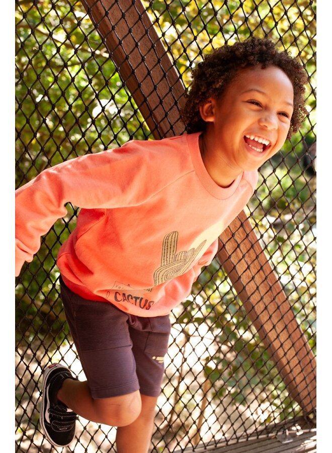 Short - Desert Fiesta | D. Bruin