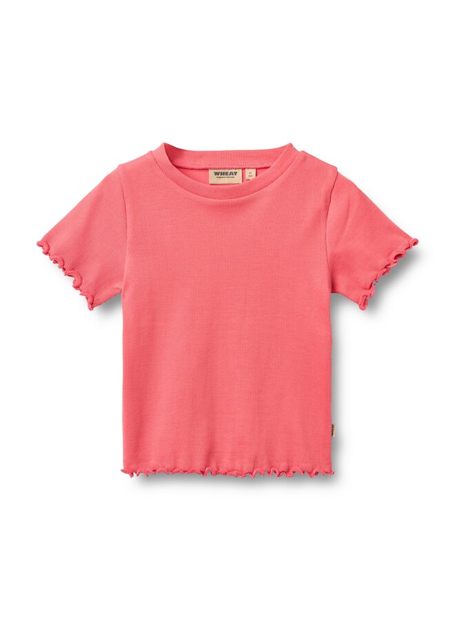 Rib T-shirt S/S Alicia Watermelon