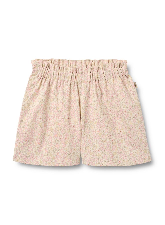 Shorts Sandy