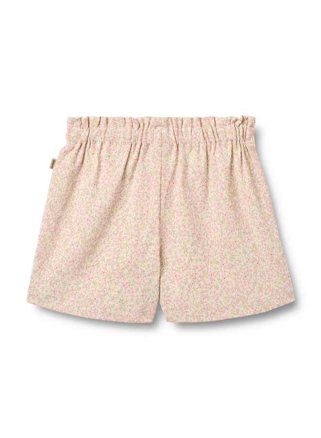 Shorts Sandy