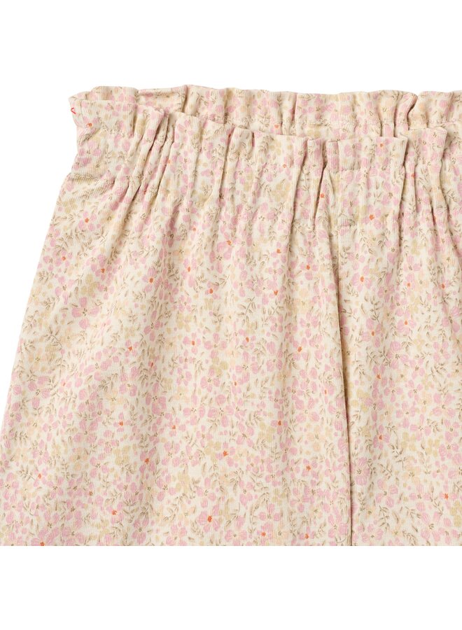 Shorts Sandy