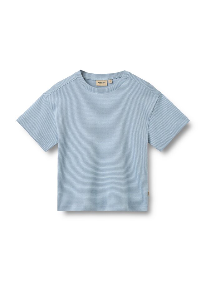 T-shirt S/S Tommy Faded Blue Stripe