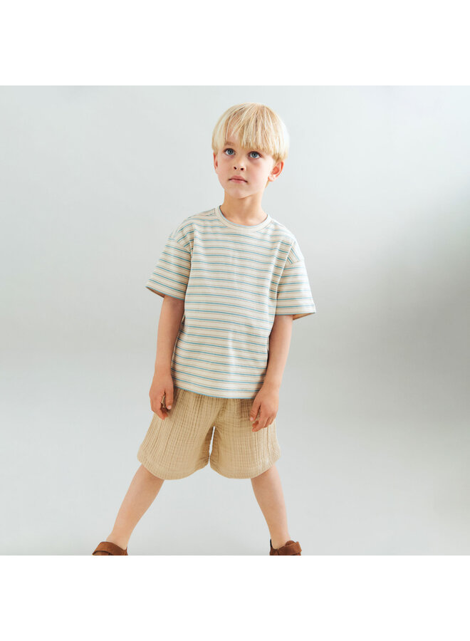 T-shirt S/S Tommy Spring Lake Stripe