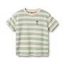 T-shirt S/S Liam Mint Stripe