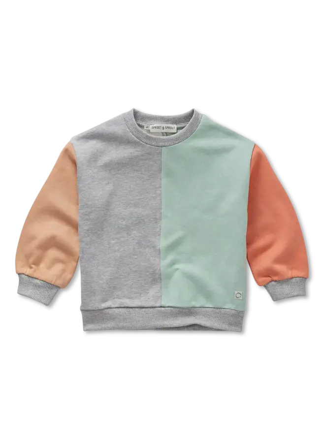 Sweatshirt colourblock