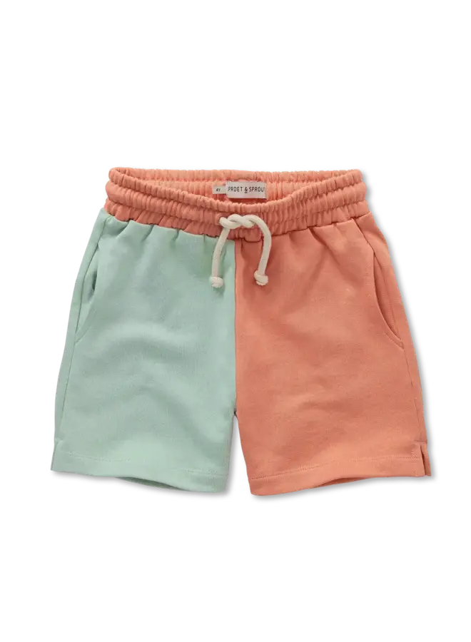 Sweatshorts colourblock