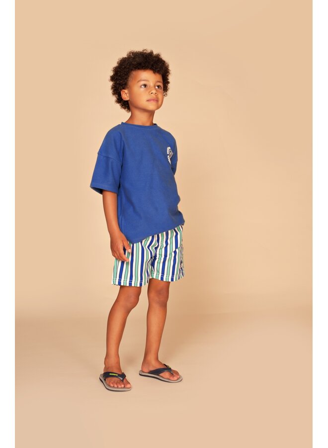 boys t-shirt ss | 7653