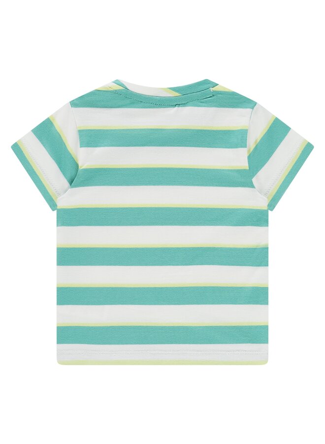 baby boys t-shirt ss | 7659