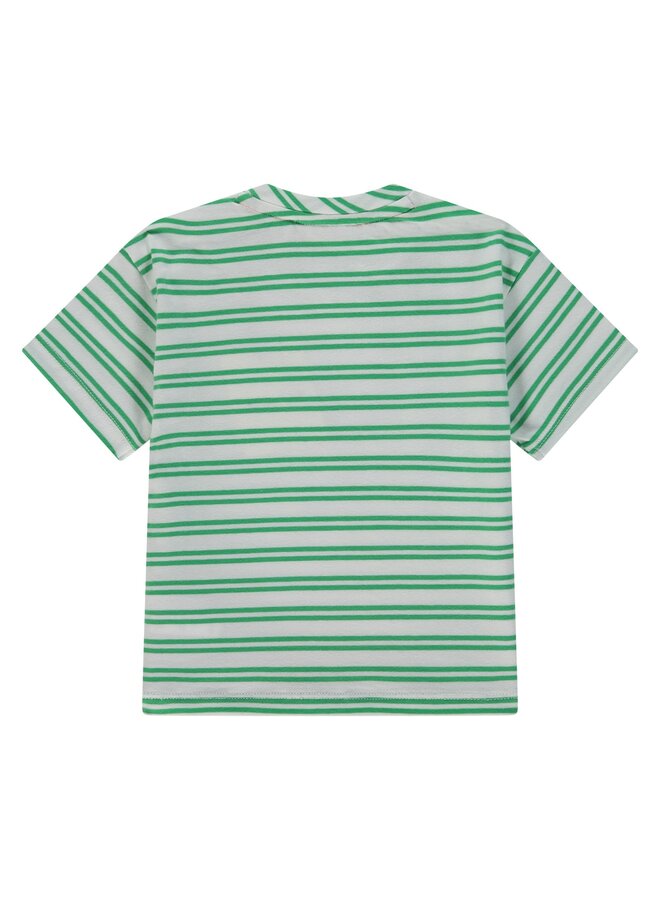 baby boys t-shirt ss wide fit | 7635