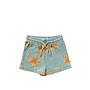 Palms | Relaxed Shorts