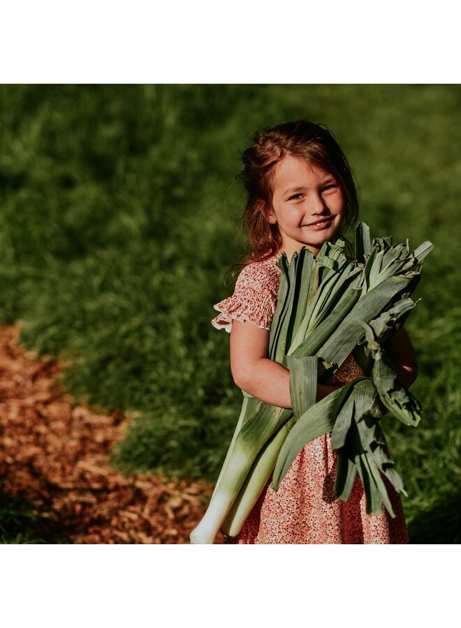 Dress ss | N58933-37