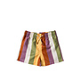 Multi Stripe | Swim Shorts