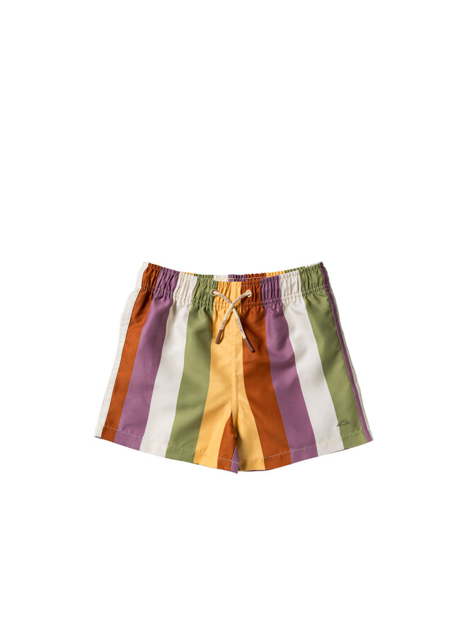 Multi Stripe | Swim Shorts