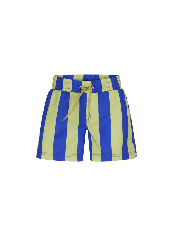 The New Chapter swimshort Vic – Magic Stripes