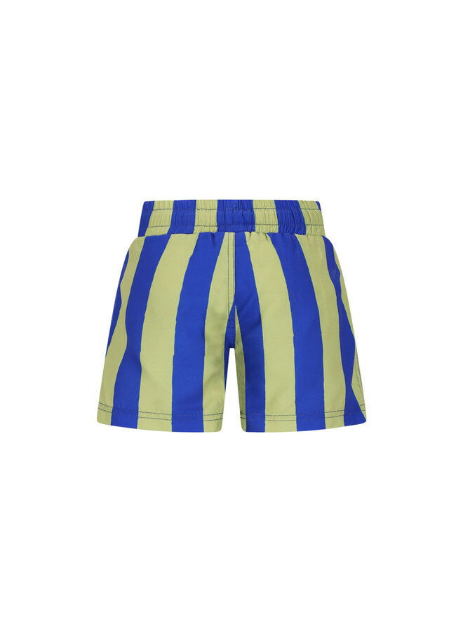 The New Chapter swimshort Vic – Magic Stripes