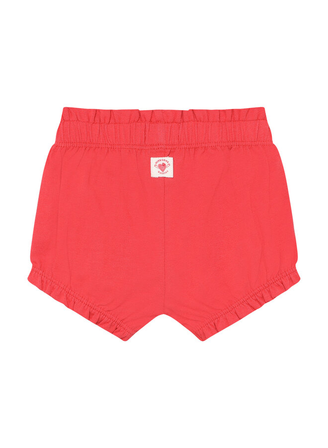 Shorts | 31214