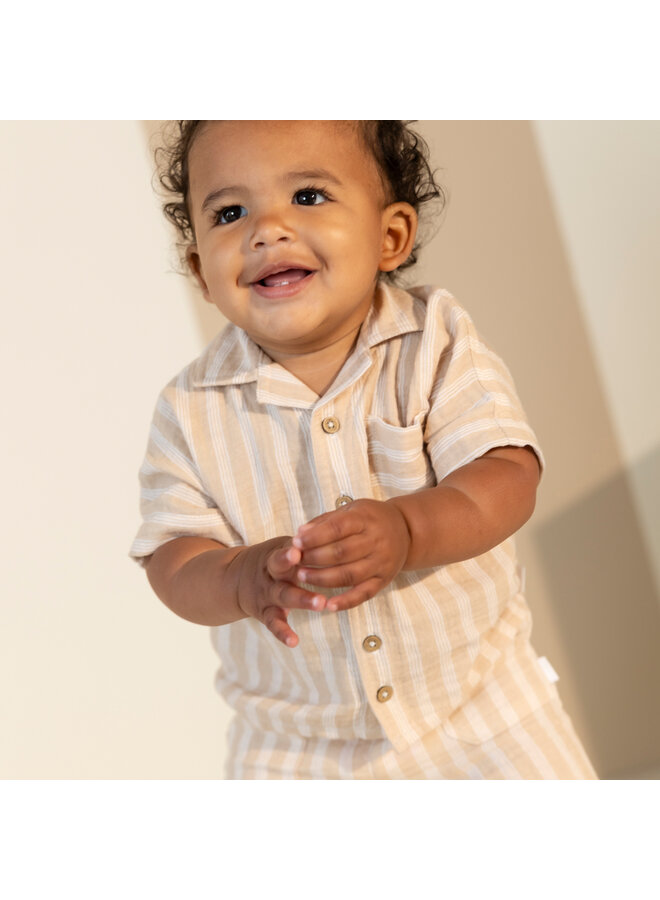 Shirt SS stripe | 30110