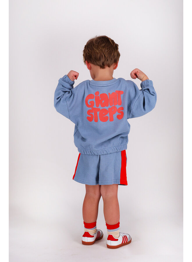 The New Chapter sweater Bobbie – Wild blue