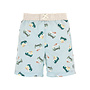 Board Shorts Ice Cream Truck Illusion Blue