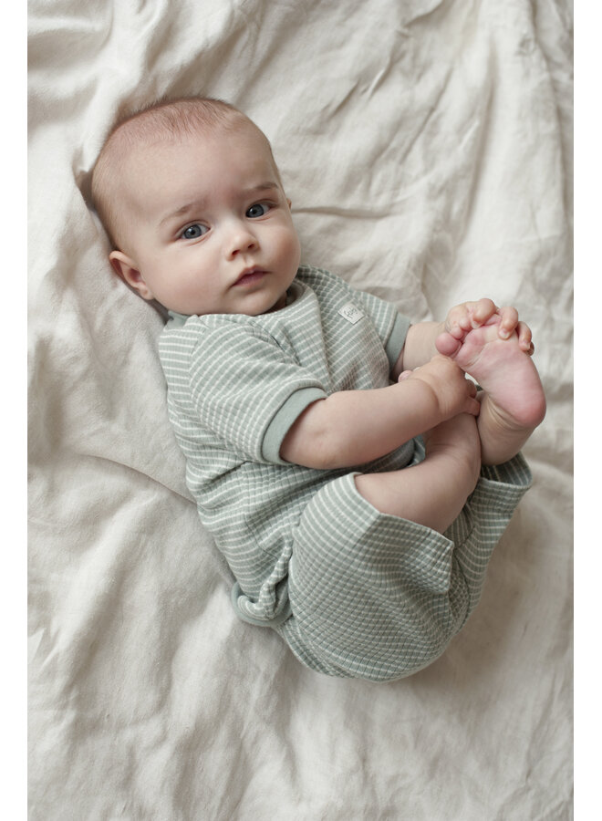 Shortama wafel - Summer Special – Zeegroen