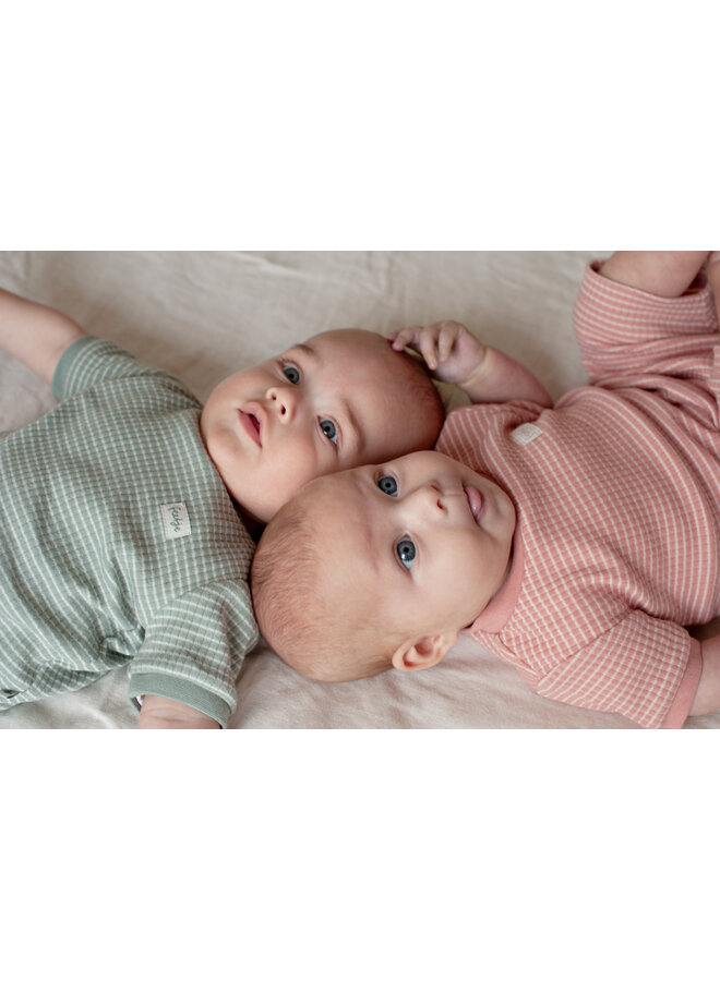 Shortama wafel - Summer Special – Mauve