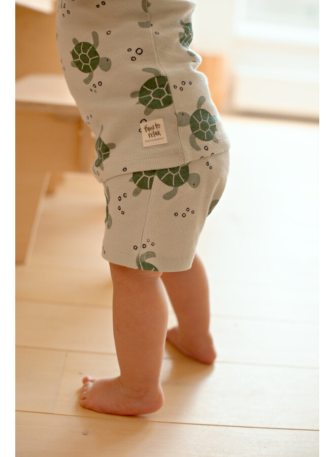 Timmy Turtle - Premium Summerwear by Feetje