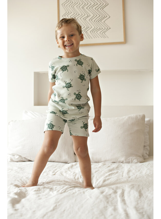 Timmy Turtle - Premium Summerwear by Feetje