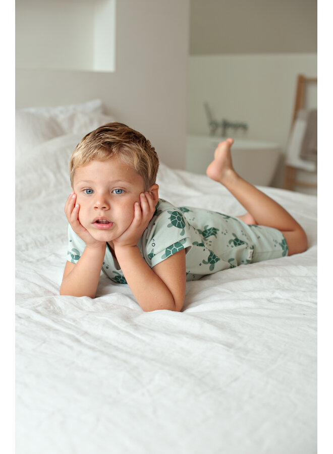 Timmy Turtle - Premium Summerwear by Feetje
