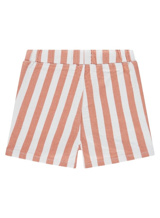 baby boys short | 7247