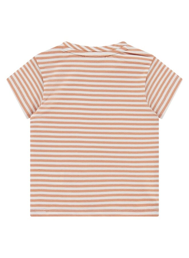 baby boys t-shirt ss | 7649