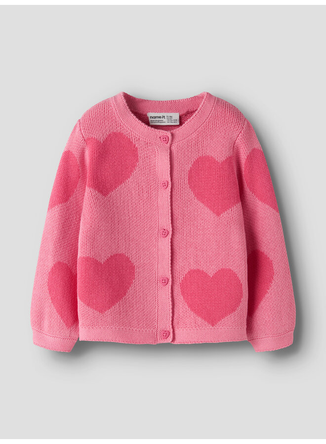 NMFLIANAX LS KNIT CARD