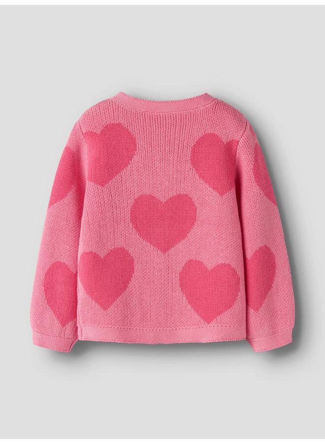 NMFLIANAX LS KNIT CARD