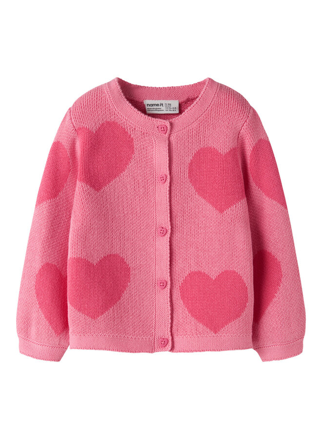NMFLIANAX LS KNIT CARD