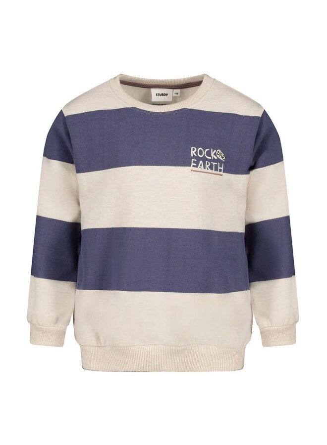 Sweater streep - Rock the Earth