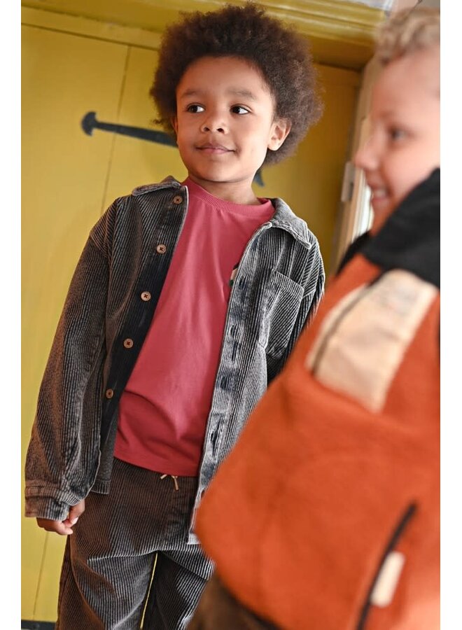 Broek corduroy - Mountain top