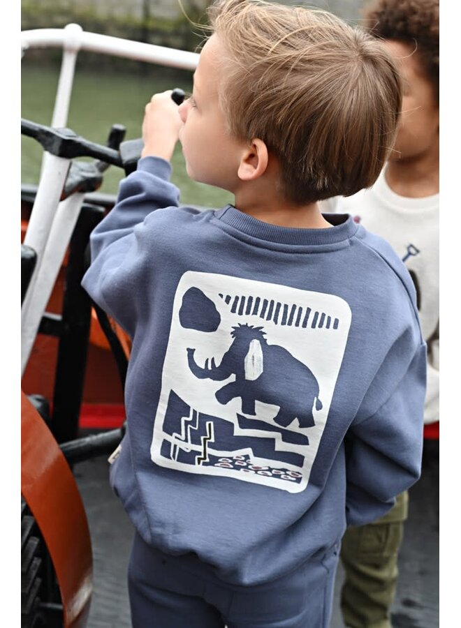 Sweater met backprint oversized - Rock the Earth