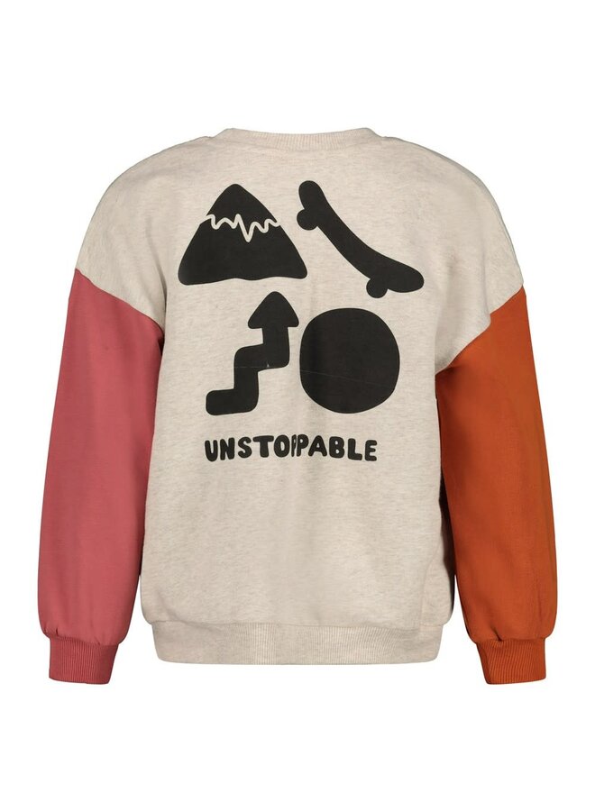 Sweater met backprint oversized - Mountain top