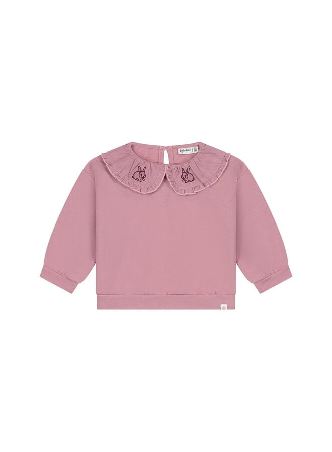 baby girls sweatshirt | 28444