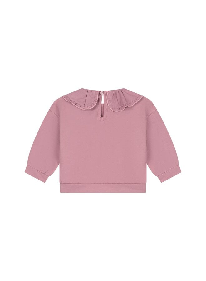 baby girls sweatshirt | 28444