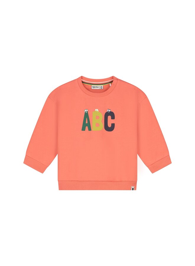 baby boys sweatshirt | 27475